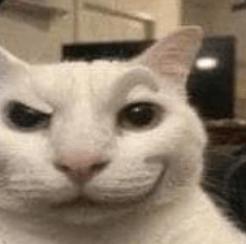 Smirking Cat Blank Meme Template
