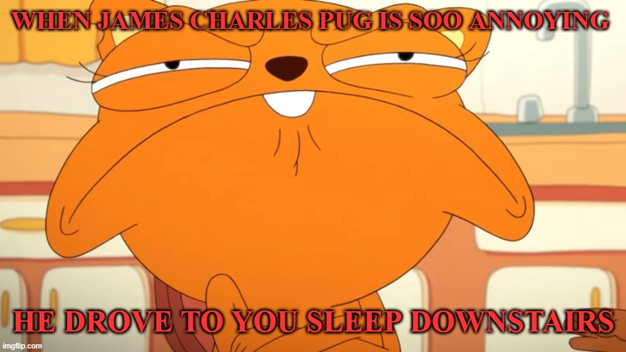 James Charles insufferable pug | WHEN JAMES CHARLES PUG IS SOO ANNOYING; HE DROVE TO YOU SLEEP DOWNSTAIRS | image tagged in james charles,dream,kiff | made w/ Imgflip meme maker