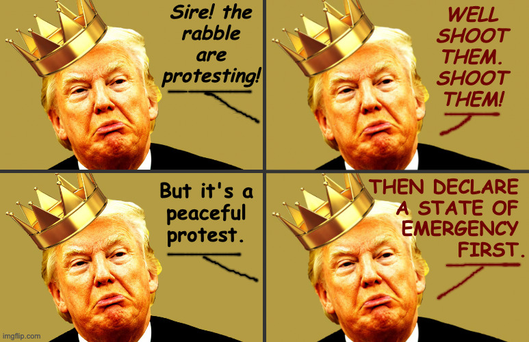 Good King Donald. | Sire! the
rabble
are
protesting! WELL
SHOOT
THEM.
SHOOT
THEM! THEN DECLARE 
A STATE OF 
EMERGENCY 
FIRST. But it's a
peaceful
protest. | image tagged in memes,good king donald,state of the union,it's a template | made w/ Imgflip meme maker
