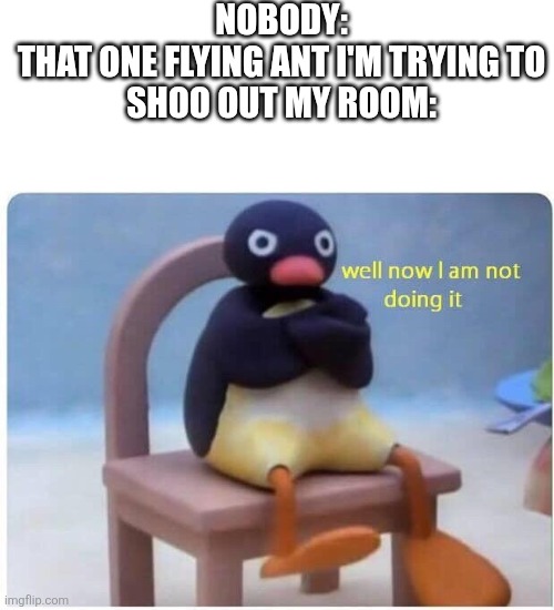 Real | NOBODY:

THAT ONE FLYING ANT I'M TRYING TO SHOO OUT MY ROOM: | image tagged in well now i'm not doing it,annoying,memes,funny,pingu,yes | made w/ Imgflip meme maker