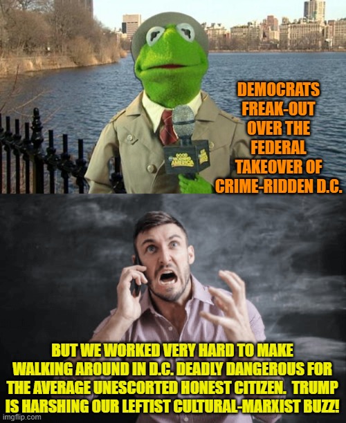 The dangerous hell-hole known as Washington D.C. is what leftist WOKEism turned it into. | DEMOCRATS FREAK-OUT OVER THE FEDERAL TAKEOVER OF CRIME-RIDDEN D.C. BUT WE WORKED VERY HARD TO MAKE WALKING AROUND IN D.C. DEADLY DANGEROUS FOR THE AVERAGE UNESCORTED HONEST CITIZEN.  TRUMP IS HARSHING OUR LEFTIST CULTURAL-MARXIST BUZZ! | image tagged in kermit news report | made w/ Imgflip meme maker
