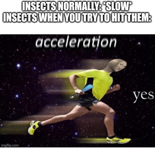 Flies be like | INSECTS NORMALLY: *SLOW*

INSECTS WHEN YOU TRY TO HIT THEM: | image tagged in acceleration yes,flies,memes,funny,relatable,annoying | made w/ Imgflip meme maker