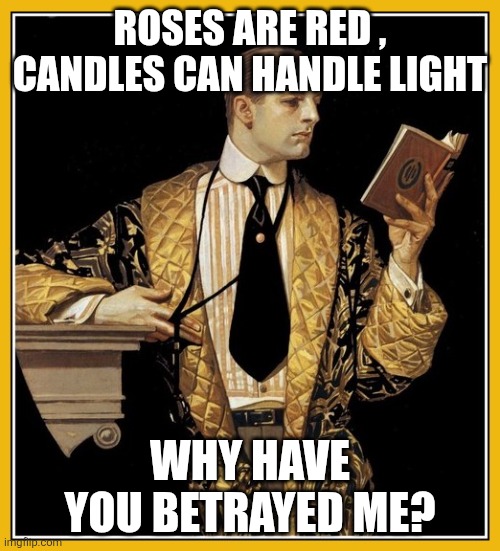 Poetry dude | ROSES ARE RED , CANDLES CAN HANDLE LIGHT WHY HAVE YOU BETRAYED ME? | image tagged in poetry dude | made w/ Imgflip meme maker