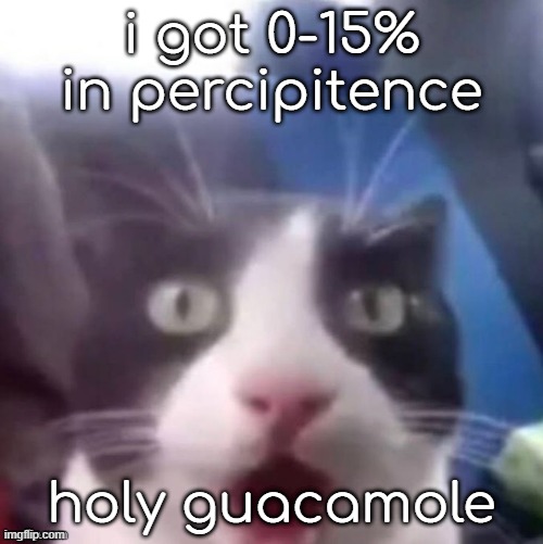cat shocked | i got 0-15% in percipitence; holy guacamole | image tagged in cat shocked | made w/ Imgflip meme maker