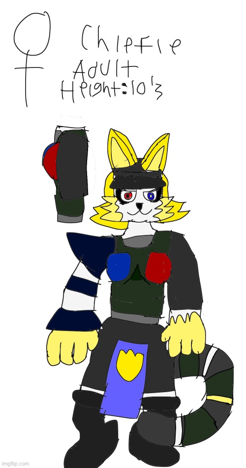 Chief Officer Kitty | made w/ Imgflip meme maker