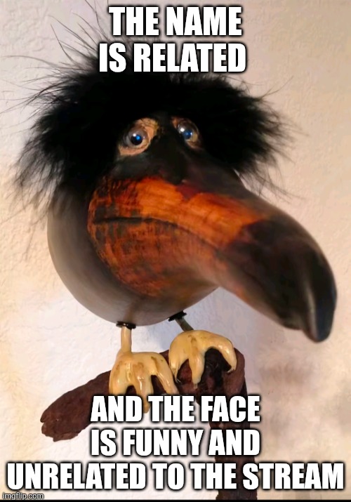 Skebob | THE NAME IS RELATED AND THE FACE IS FUNNY AND UNRELATED TO THE STREAM | image tagged in skebob | made w/ Imgflip meme maker