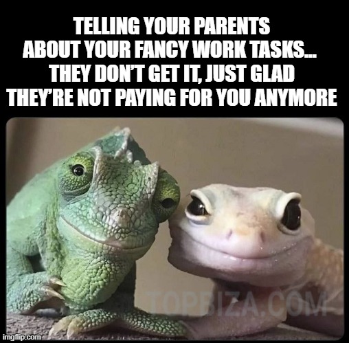 your parents look | TELLING YOUR PARENTS ABOUT YOUR FANCY WORK TASKS… 
THEY DON’T GET IT, JUST GLAD THEY’RE NOT PAYING FOR YOU ANYMORE | image tagged in 2 lizards looks kind like parents | made w/ Imgflip meme maker