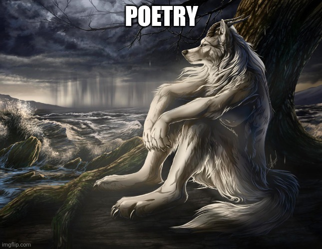 Sitting Wolf | POETRY | image tagged in sitting wolf | made w/ Imgflip meme maker