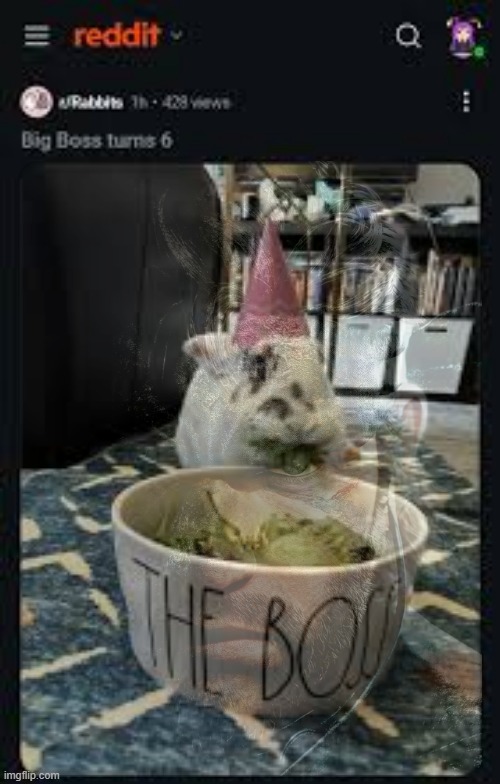 his name is what | image tagged in wunkus,metal gear,memes,shitpost | made w/ Imgflip meme maker
