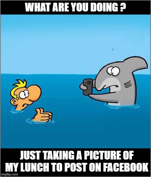 The Modern Day Shark ! | WHAT ARE YOU DOING ? JUST TAKING A PICTURE OF MY LUNCH TO POST ON FACEBOOK | image tagged in cartoon,ruthe,shark,lunch,facebook | made w/ Imgflip meme maker