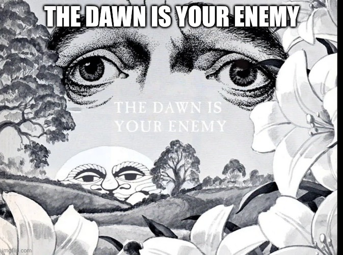 The Dawn Is Your Enemy | THE DAWN IS YOUR ENEMY | image tagged in the dawn is your enemy | made w/ Imgflip meme maker