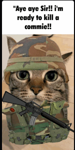 AYE AYE SIR! READY TO KILL A COMMIE Blank Meme Template