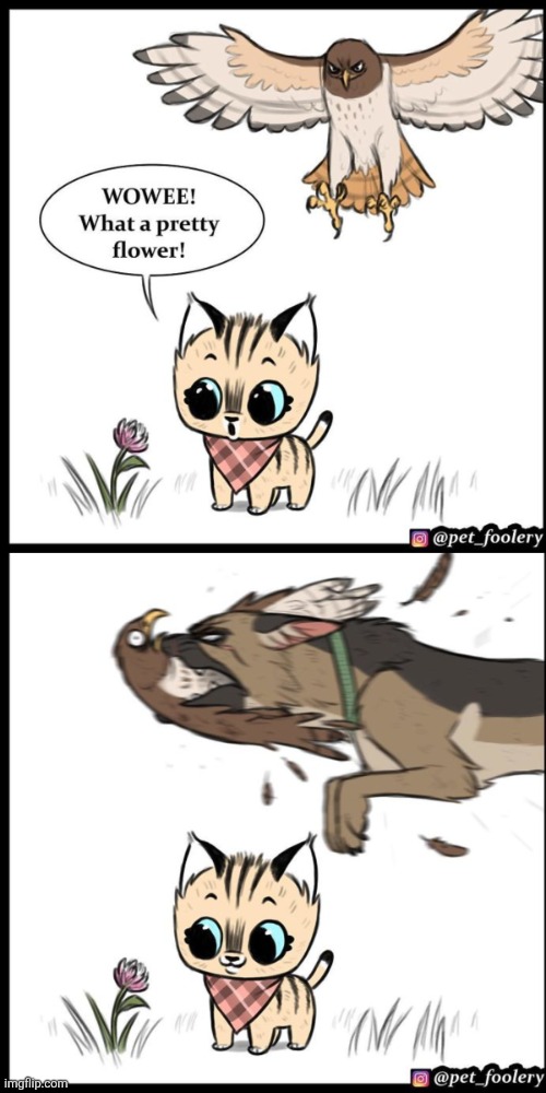 Brutus and pixie | image tagged in brutus and pixie | made w/ Imgflip meme maker