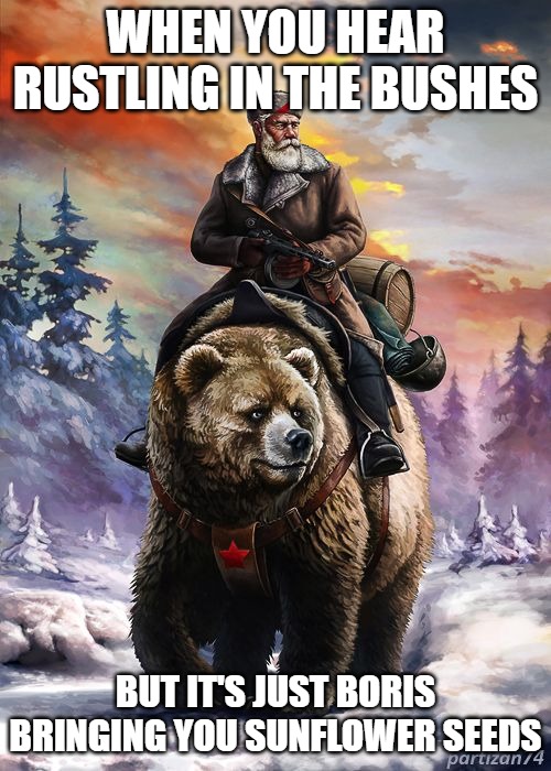 Slavic Bear Patrol | WHEN YOU HEAR RUSTLING IN THE BUSHES; BUT IT'S JUST BORIS BRINGING YOU SUNFLOWER SEEDS | image tagged in slavic bear patrol,slavic bear | made w/ Imgflip meme maker