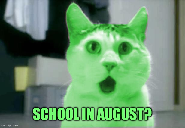 OMG RayCat | SCHOOL IN AUGUST? | image tagged in omg raycat | made w/ Imgflip meme maker
