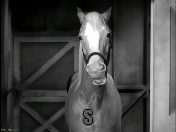 Mr. Ed | S | image tagged in mr ed | made w/ Imgflip meme maker
