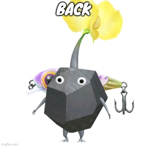 Fishing bait rock pikmin | BACK | image tagged in fishing bait rock pikmin | made w/ Imgflip meme maker