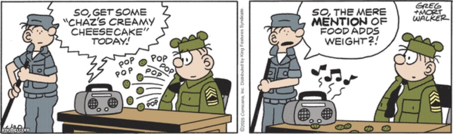 Beetle Bailey | image tagged in comics | made w/ Imgflip meme maker