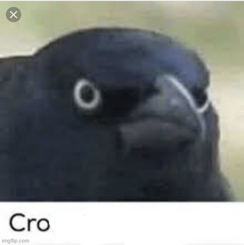 cro Blank Meme Template