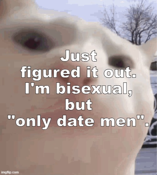 i showed you my | Just figured it out. I'm bisexual, but "only date men". | image tagged in i showed you my,sans of topic | made w/ Imgflip meme maker