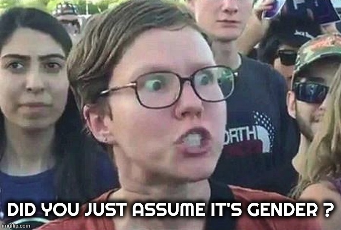 Triggered Liberal | DID YOU JUST ASSUME IT'S GENDER ? | image tagged in triggered liberal | made w/ Imgflip meme maker