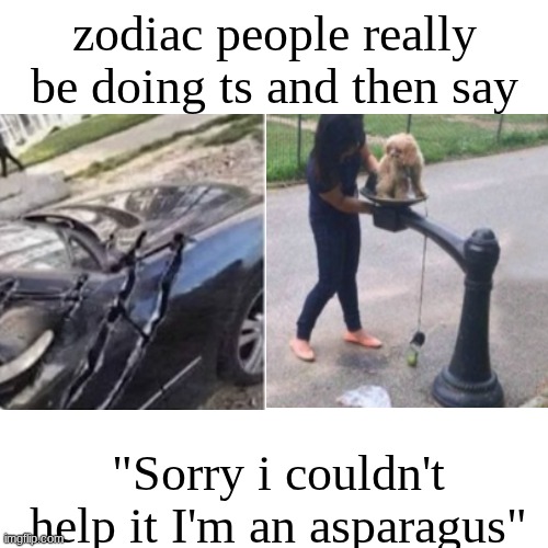 Please help i have turned into a fish | zodiac people really be doing ts and then say; "Sorry i couldn't help it I'm an asparagus" | image tagged in memes,glub,feed me,zodiac | made w/ Imgflip meme maker
