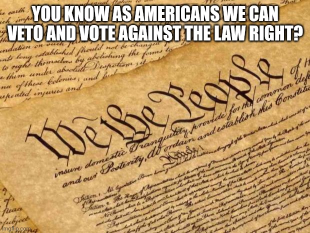 Constitution | YOU KNOW AS AMERICANS WE CAN VETO AND VOTE AGAINST THE LAW RIGHT? | image tagged in constitution | made w/ Imgflip meme maker