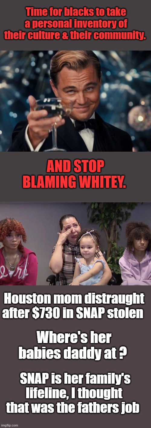 Its sad, but nothing will get better until people take responsibility for their own actions | Time for blacks to take a personal inventory of their culture & their community. AND STOP BLAMING WHITEY. Houston mom distraught after $730 in SNAP stolen; Where's her babies daddy at ? SNAP is her family's lifeline, I thought that was the fathers job | image tagged in memes,leonardo dicaprio cheers | made w/ Imgflip meme maker