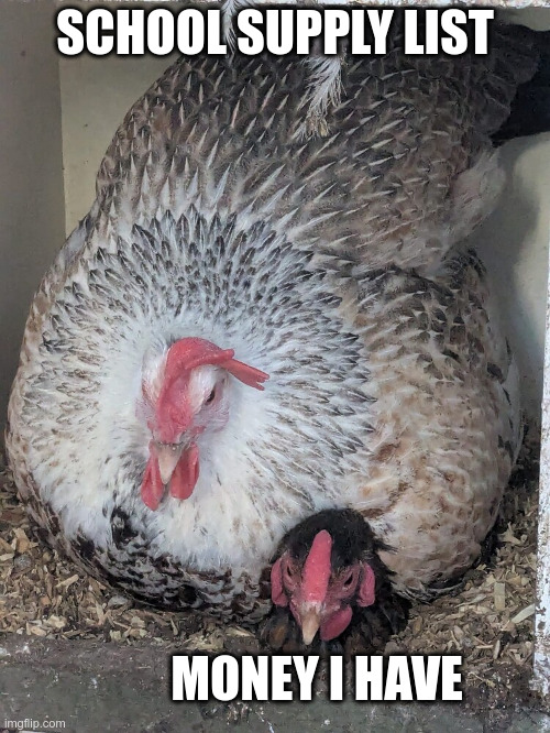 School Supply Lists be like: | SCHOOL SUPPLY LIST; MONEY I HAVE | image tagged in hen on a hen | made w/ Imgflip meme maker