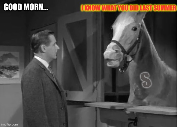 Talking Horse | I KNOW WHAT YOU DID LAST SUMMER; GOOD MORN…; S | image tagged in mr ed ivermectin,memes | made w/ Imgflip meme maker