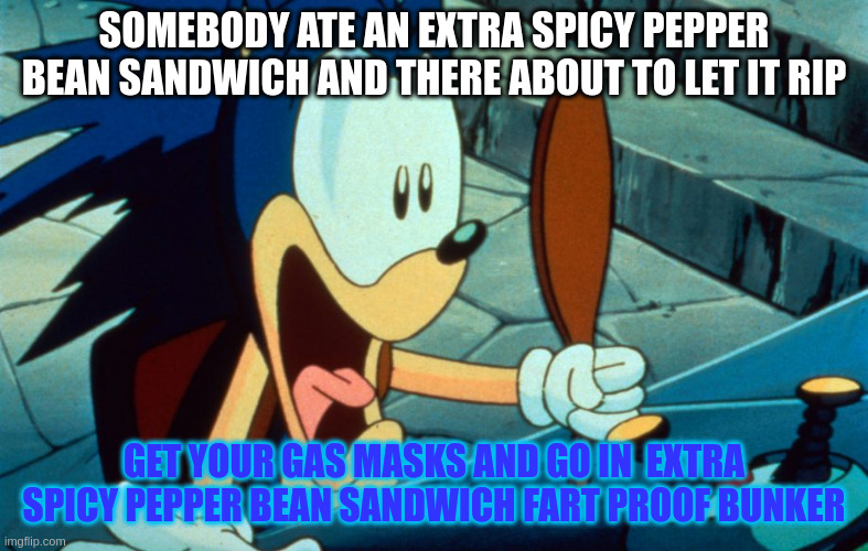 Screaming Sonic | SOMEBODY ATE AN EXTRA SPICY PEPPER BEAN SANDWICH AND THERE ABOUT TO LET IT RIP GET YOUR GAS MASKS AND GO IN  EXTRA SPICY PEPPER BEAN SANDWIC | image tagged in screaming sonic | made w/ Imgflip meme maker
