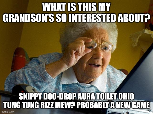 What | WHAT IS THIS MY GRANDSON’S SO INTERESTED ABOUT? SKIPPY DOO-DROP AURA TOILET OHIO TUNG TUNG RIZZ MEW? PROBABLY A NEW GAME | image tagged in memes,grandma finds the internet | made w/ Imgflip meme maker