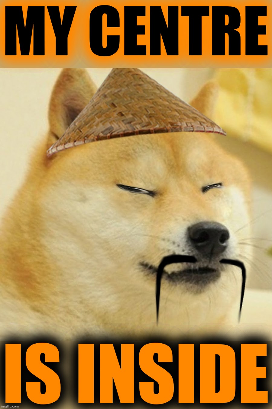 Barkfucius asian Doge Barkfucious | MY CENTRE IS INSIDE | image tagged in barkfucius asian doge barkfucious | made w/ Imgflip meme maker