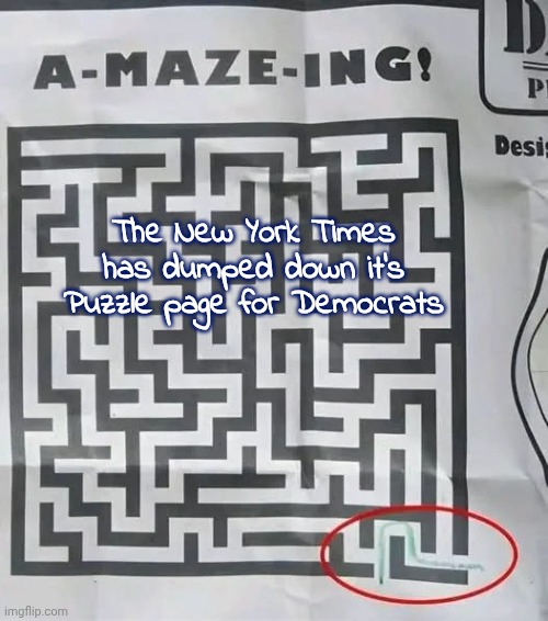 The New York Times has dumped down it's Puzzle page for Democrats | made w/ Imgflip meme maker