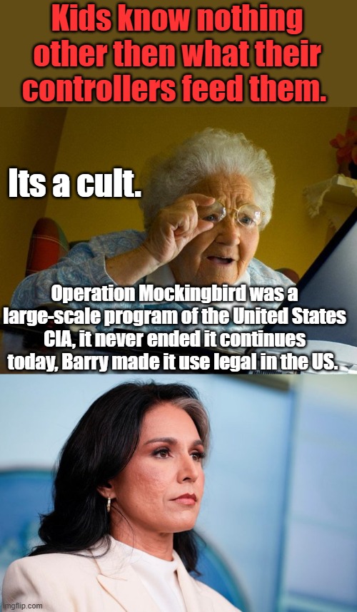 WOW took a X DEM. to expose it. | Kids know nothing other then what their controllers feed them. Its a cult. Operation Mockingbird was a large-scale program of the United States CIA, it never ended it continues today, Barry made it use legal in the US. | image tagged in memes,grandma finds the internet | made w/ Imgflip meme maker