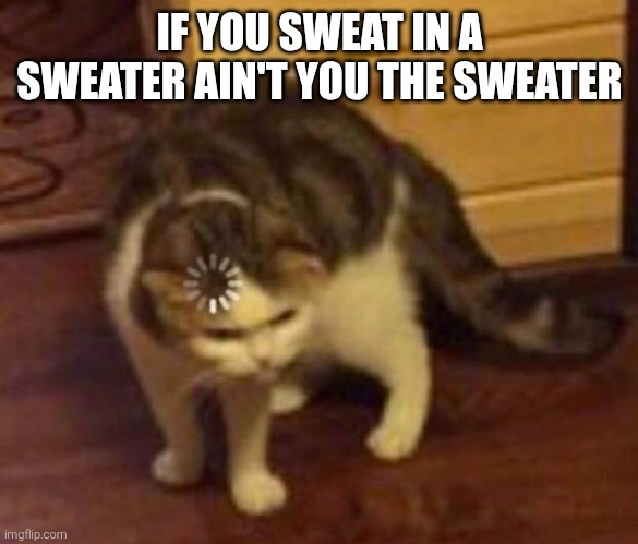 Thinking Cat | IF YOU SWEAT IN A SWEATER AIN'T YOU THE SWEATER | image tagged in thinking cat | made w/ Imgflip meme maker