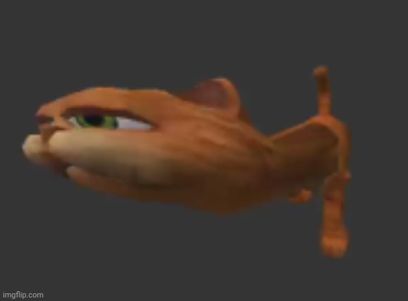 Ghorsefield | made w/ Imgflip meme maker