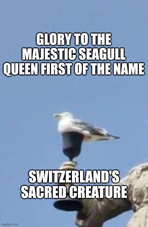 Seagull Queen | GLORY TO THE MAJESTIC SEAGULL QUEEN FIRST OF THE NAME; SWITZERLAND'S SACRED CREATURE | image tagged in seagull,queen,cup,statue | made w/ Imgflip meme maker
