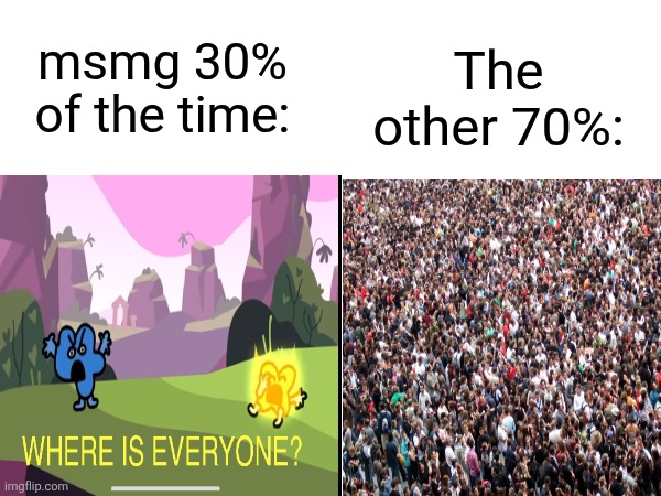 The other 70%:; msmg 30% of the time: | made w/ Imgflip meme maker