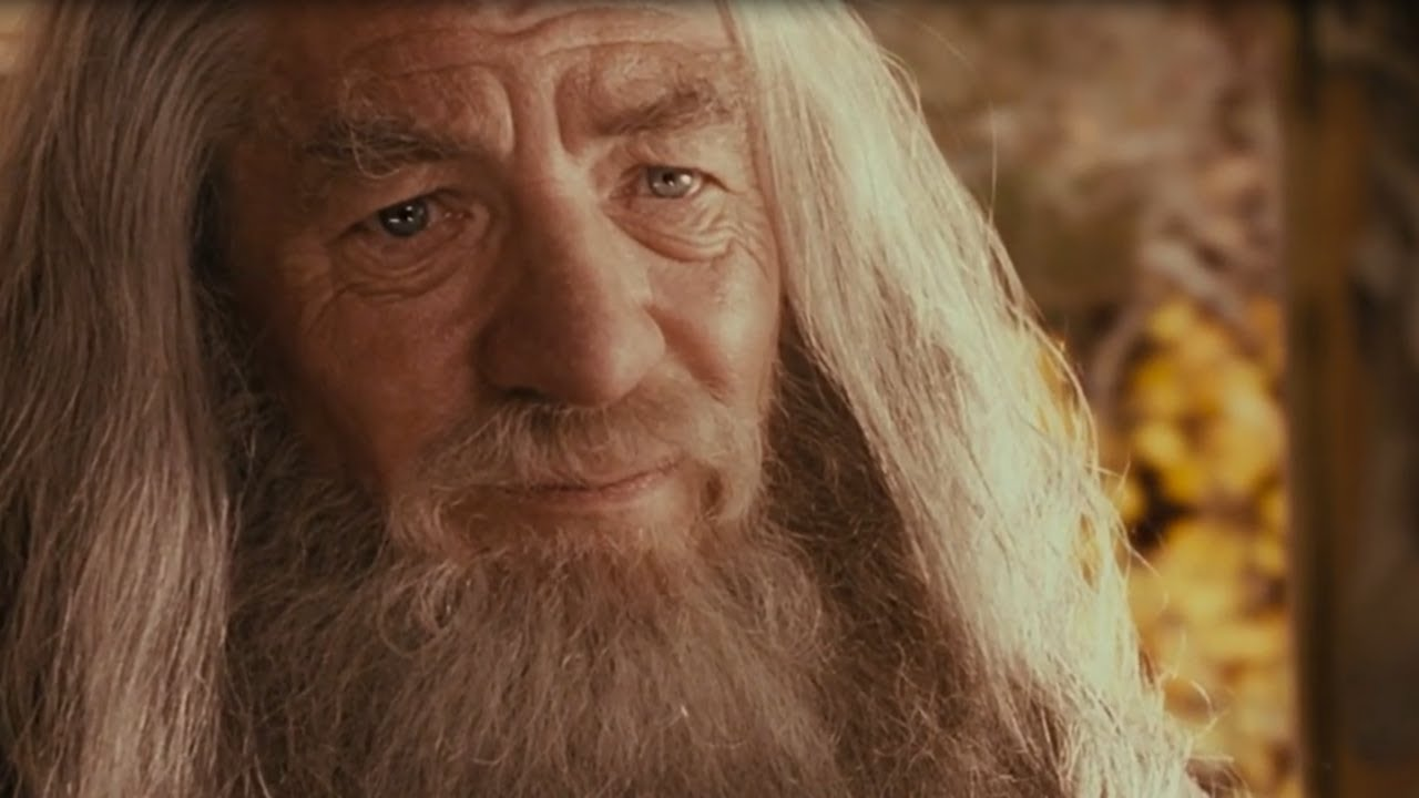 I'm sorry, Frodo. I was delayed Blank Meme Template