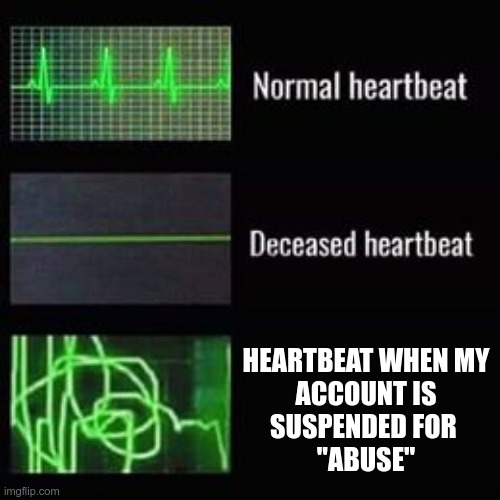 heartbeat rate | HEARTBEAT WHEN MY
ACCOUNT IS
SUSPENDED FOR 
"ABUSE" | image tagged in heartbeat rate | made w/ Imgflip meme maker