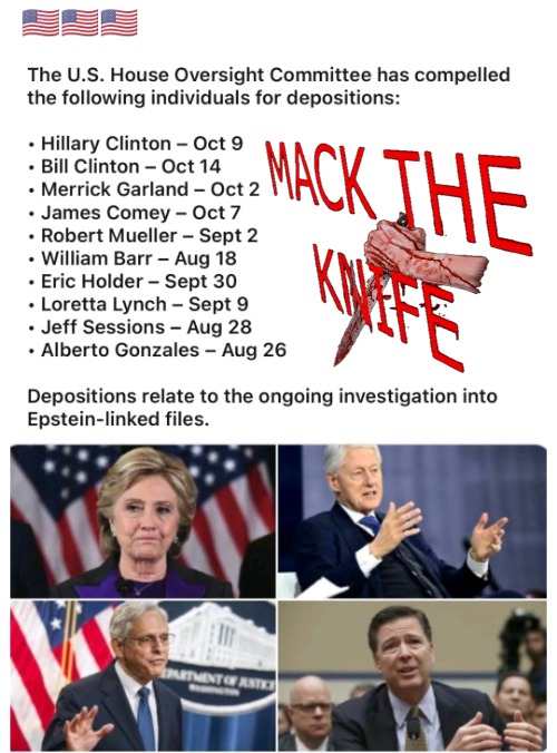 Democrat Deposition Schedule Related To The Epstein Files | made w/ Imgflip meme maker