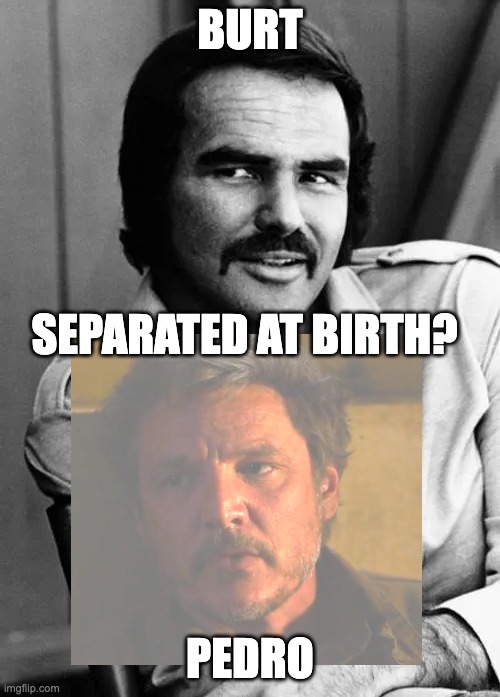 Burt Reynolds | BURT; SEPARATED AT BIRTH? PEDRO | image tagged in burt reynolds | made w/ Imgflip meme maker