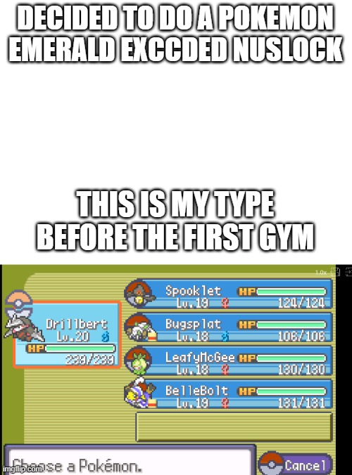 1st gym time | DECIDED TO DO A POKEMON EMERALD EXCCDED NUSLOCK; THIS IS MY TYPE BEFORE THE FIRST GYM | image tagged in pokemon,pokemon randomizer | made w/ Imgflip meme maker