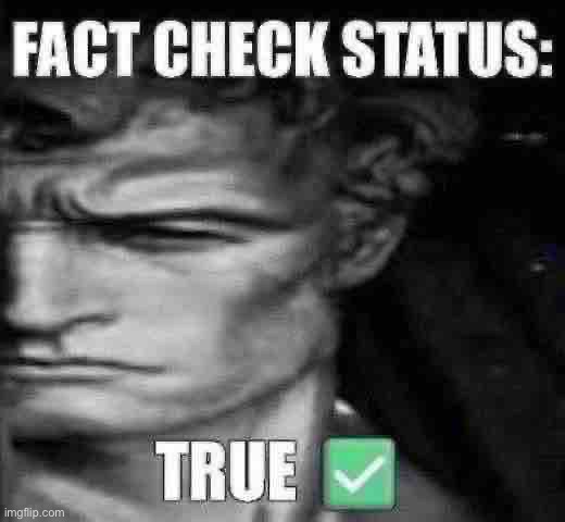 Fact check status : True | image tagged in fact check status true | made w/ Imgflip meme maker