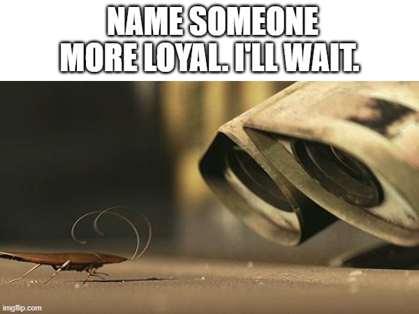 He is the definition on Loyalty | NAME SOMEONE MORE LOYAL. I'LL WAIT. | image tagged in wall-e,bugs,loyalty,good,boi | made w/ Imgflip meme maker