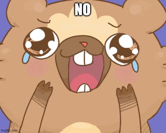 Happy bidoof | NO | image tagged in happy bidoof | made w/ Imgflip meme maker