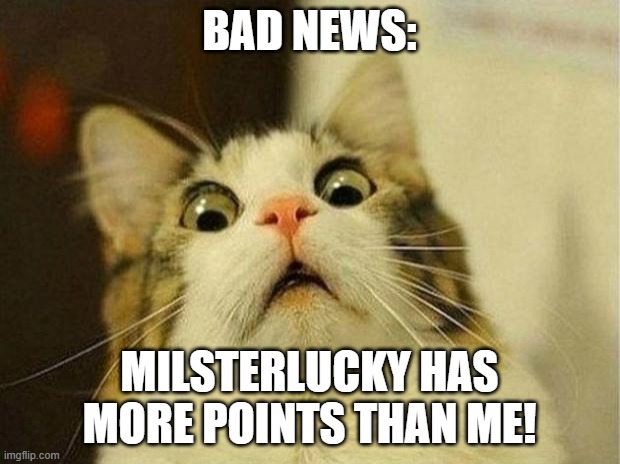 MilsterLucky has more points than me! | BAD NEWS:; MILSTERLUCKY HAS MORE POINTS THAN ME! | image tagged in memes,scared cat | made w/ Imgflip meme maker