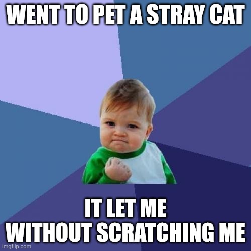 Success Kid | WENT TO PET A STRAY CAT; IT LET ME WITHOUT SCRATCHING ME | image tagged in memes,success kid | made w/ Imgflip meme maker