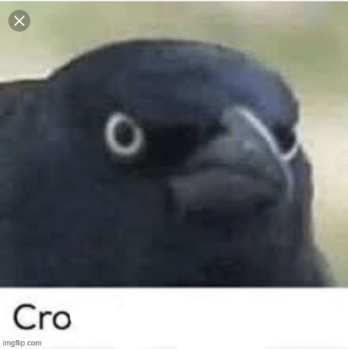 cro | image tagged in cro | made w/ Imgflip meme maker